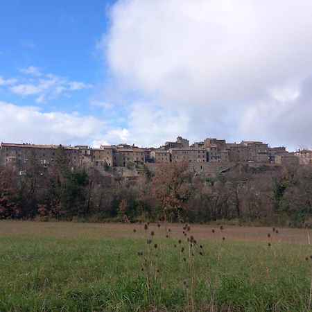Casa Vacanza In Casale Vicino Orvieto Ficulle Екстер'єр фото