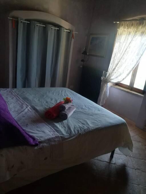 Casa Vacanza In Casale Vicino Orvieto Ficulle Екстер'єр фото